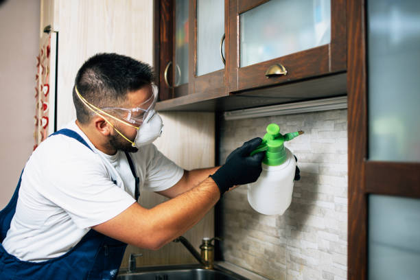 Best Emergency Pest Control  in Ferry Pass, FL