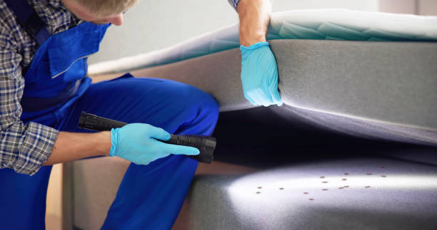 Pest Control Cost in Ferry Pass, FL