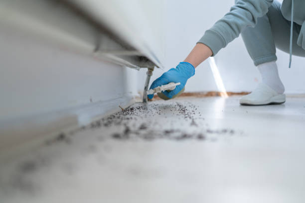 Best Mosquito Control Services  in Ferry Pass, FL